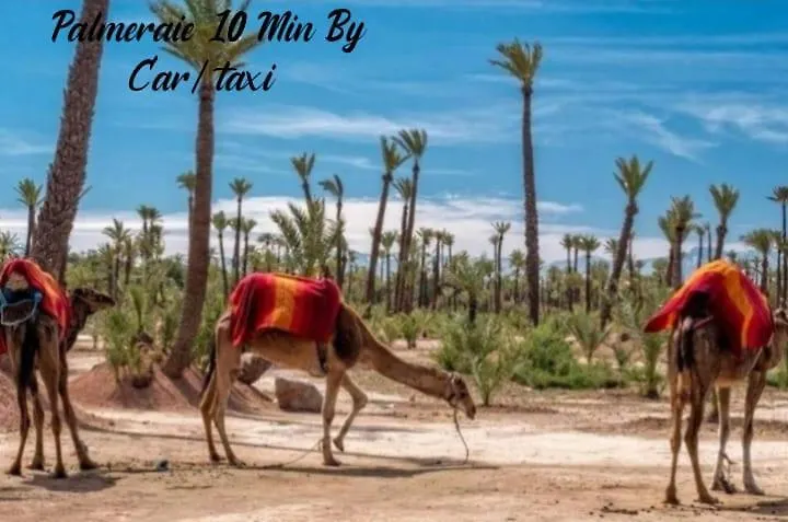 Apartment Propriete De Vacances Village Privee Marrakech Avec Piscines Morocco