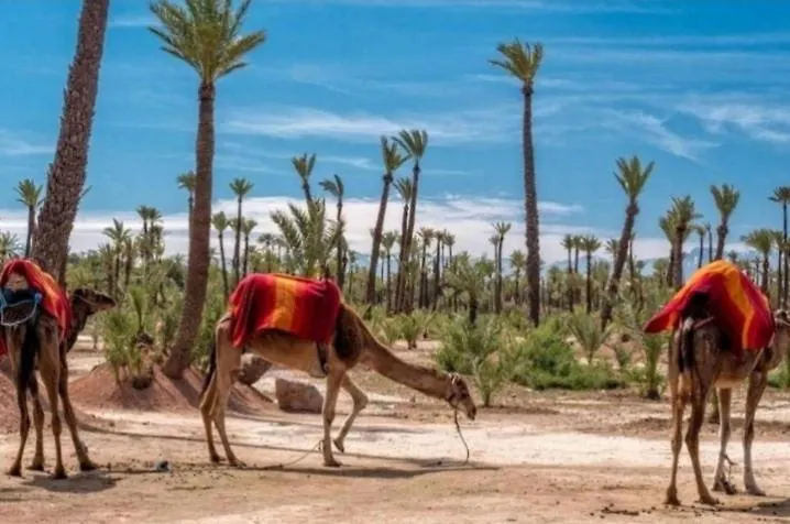 Propriete De Vacances Village Privee Marrakech Avec Piscines Marrakesh